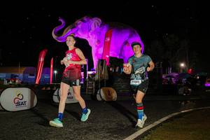 BIB: 
                            <button type="button" onclick="openModal(26534830)" class="btn btn-primary btn-sm float-right btn-popup" data-toggle="modal" data-target=".modal-high-quality">
                        <i class="fas fa-shopping-cart"></i> Add to Cart
                    </button>
                                            <button type="button" onclick="isThisMe(26534830, true)" class="btn btn-success btn-sm float-right btn-popup btn-isme hidden" data-toggle="tooltip" data-placement="bottom" title="นี่คือรูปของคุณใช่ไหม คลิกที่นี่เพื่อเอาเข้าอัลบั้ม">
                        <i class="fas fa-plus"></i> Add to album
                    </button>
                    <button type="button" onclick="isThisMe(26534830, false)" class="btn btn-warning btn-sm float-right btn-popup btn-isnotme hidden">
                        <i class="fas fa-ban"></i> Remove from album
                    </button>